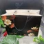 set 5 Túi giấy c250 cán màng họa tiết sang trọng cực to đựng quà tặng thời trang quần áo túi xách
