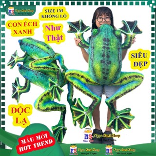 Thú Nhồi Bông ẾCH XANH Khổng Lồ 3D Mẫu Mới – Gấu Bông Dễ Thương, Chất Liệu Cao Cấp, Không Xù Lông