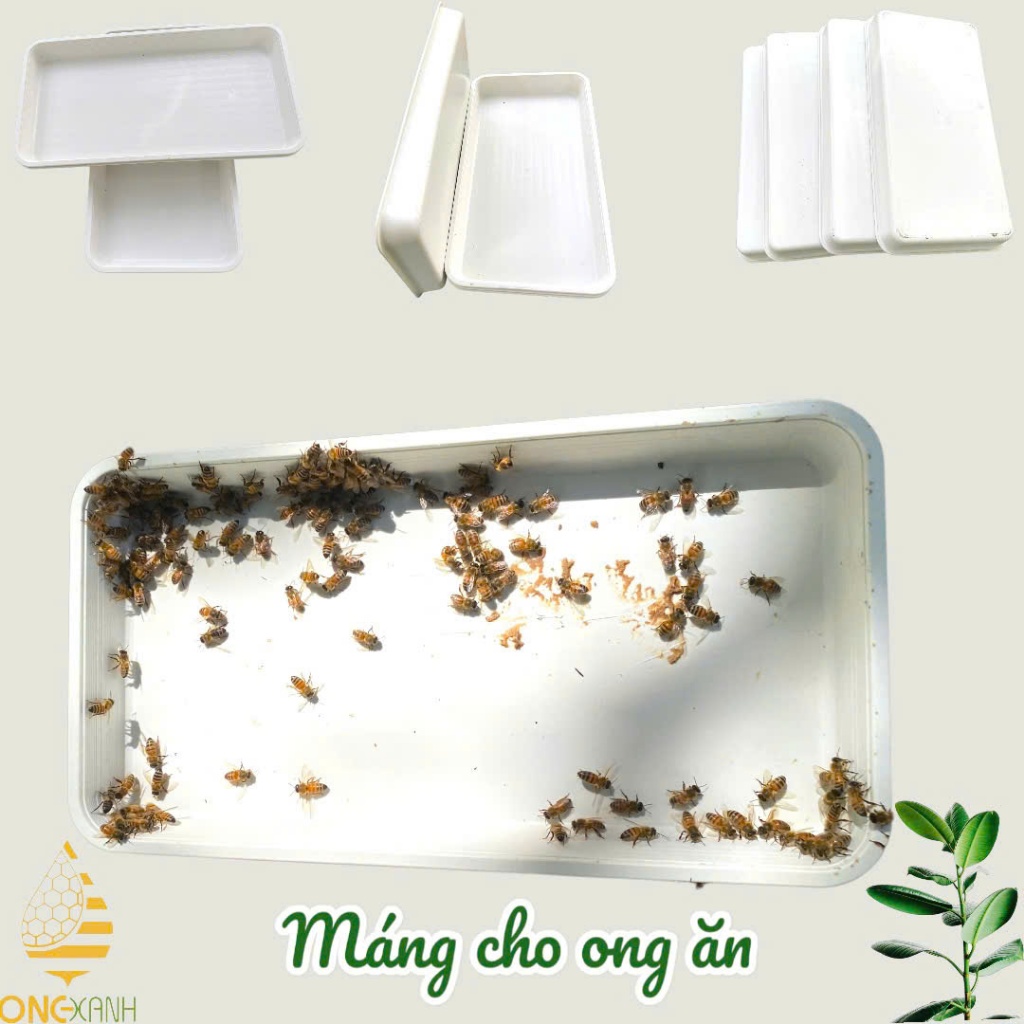 Máng ăn ( Khay ) dùng cụ cho ong uống nước