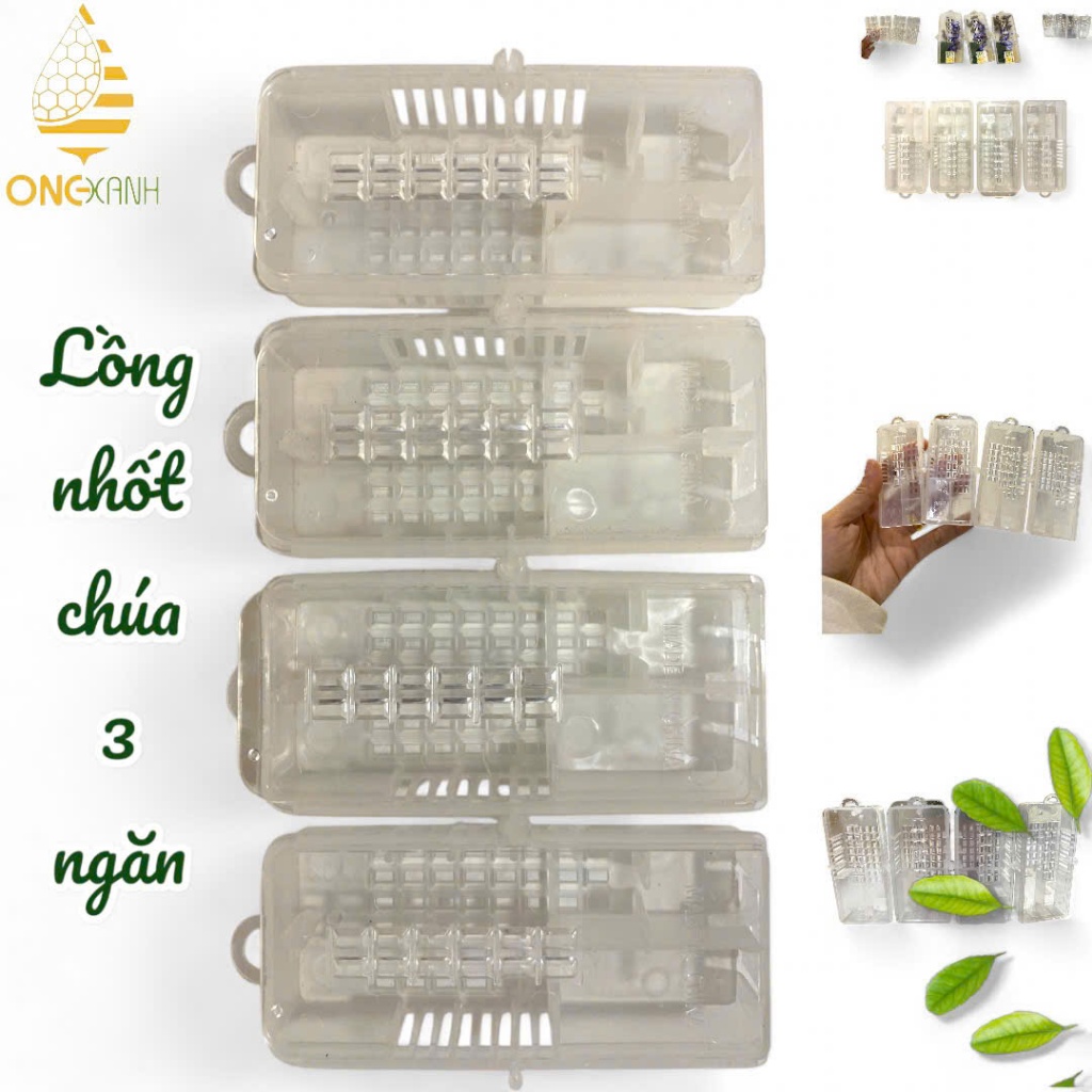Hộp nhốt ong chúa 3 ngăn