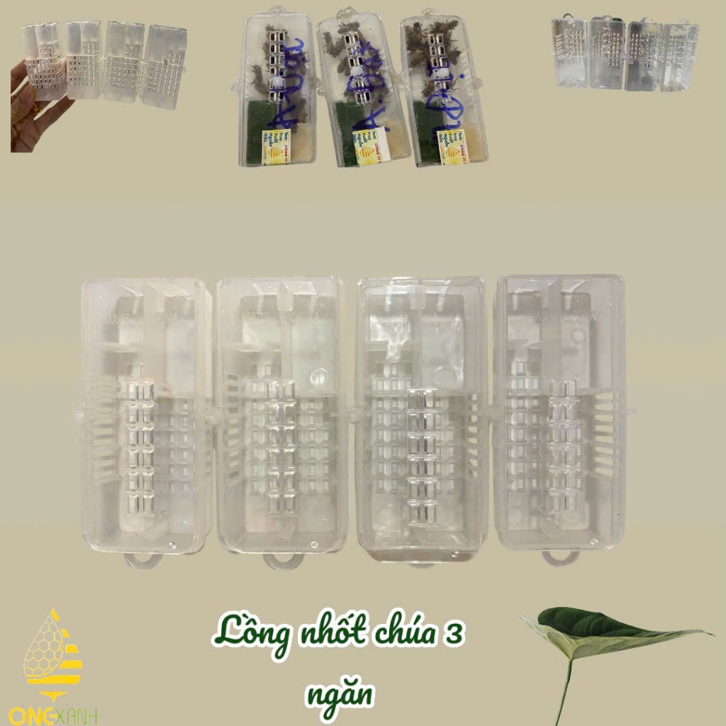 Hộp nhốt ong chúa 3 ngăn
