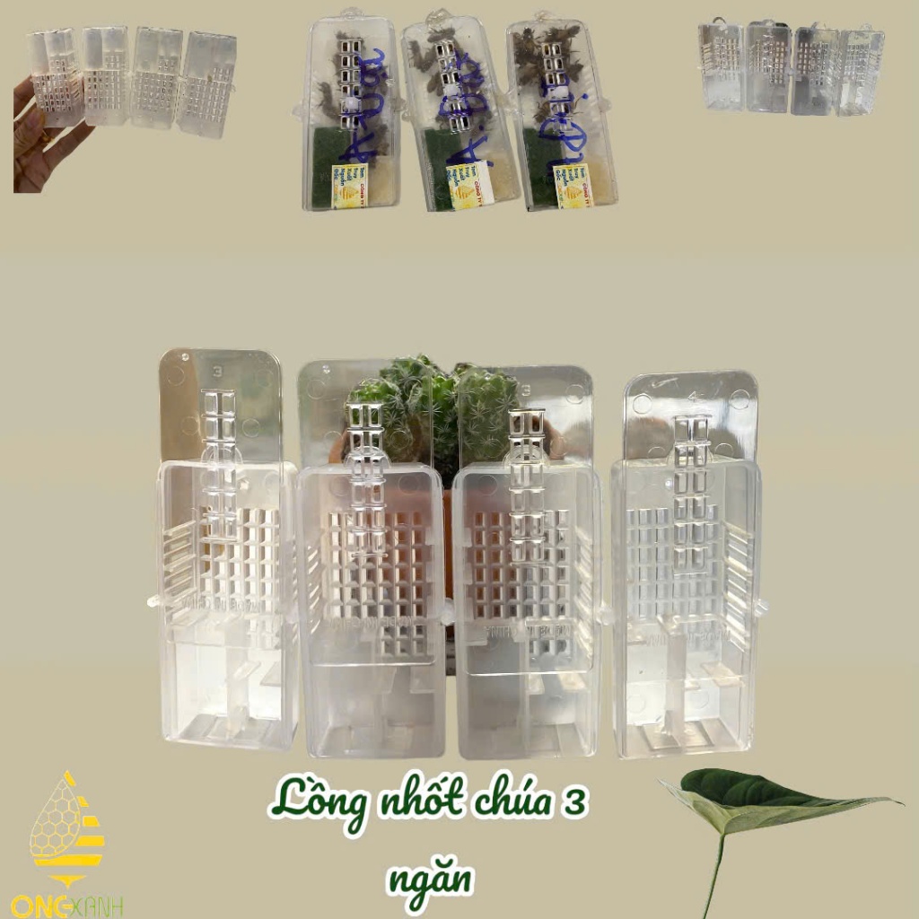 Hộp nhốt ong chúa 3 ngăn