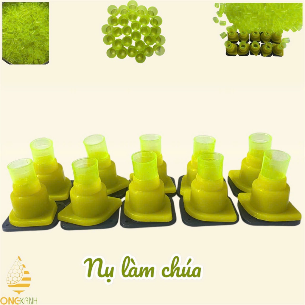 Nụ làm chúa xanh
