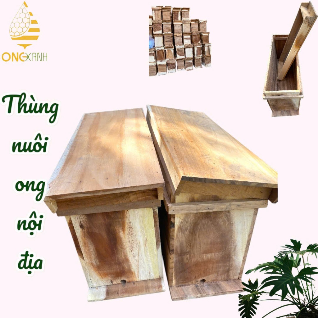 Thùng vật tư dụ ong nội địa rừng và ruồi chất liệu gỗ miền tây thích hợp cho việc nuôi ong