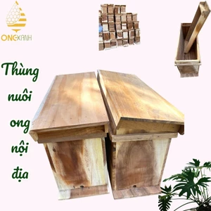Thùng vật tư dụ ong nội địa rừng và ruồi chất liệu gỗ miền tây thích hợp cho việc nuôi ong