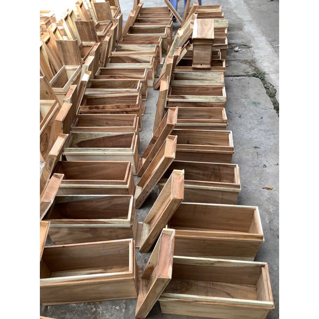 Thùng vật tư dụ ong nội địa rừng và ruồi chất liệu gỗ miền tây thích hợp cho việc nuôi ong