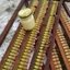 Sữa ong chúa tươi nguyên chất