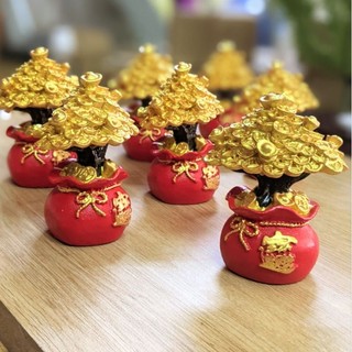 Cây Kim Tiền Cao Cấp Loại 1