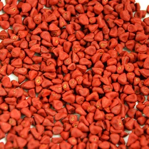 5KG Hạt điều màu/ Hạt điều đỏ tạo màu/ Hạt Cari _ Nongsangiasi _Hạt Điều Đỏ, Hạt điều màu loại sạch, ngon, màu đẹp
