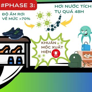 Gói Hút Ẩm Absorgel ngăn ẩm mốc đánh bay mùi hôi phong thấp xử lý nhiễm ẩm nặng 48h