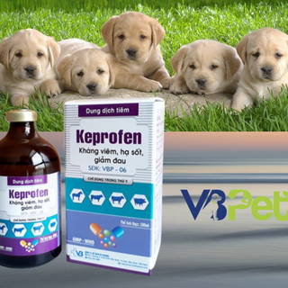 KEPROFEN – Thuốc thú y kháng viêm, hạ sốt, giảm đau cho chó mèo trâu bò lợn dê cừu ngựa chai 100ml