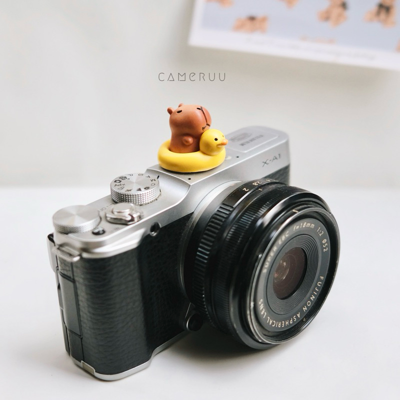 Hotshoe cover Capybara Nắp che flash cho máy ảnh DSLR Mirrorless Máy ...