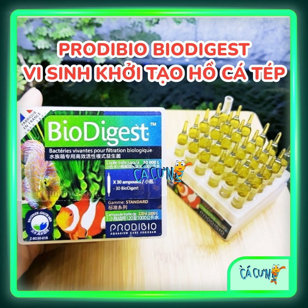 Vi Sinh Sống BioDigest Prodibio | Bio Digest Khởi Tạo Toàn Diện Cho Hồ ...