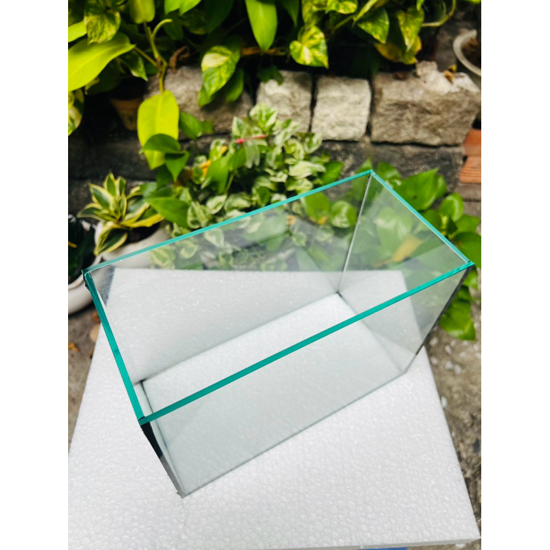 Bể cá mini - hồ cá betta kích thước 20-24cm mài cạnh vi tính nhẵn an ...