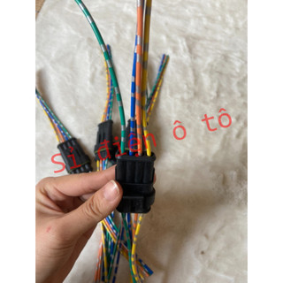 Giắc cắm đực cái chống nước 2 chân, 3 chân, 4 chân, 6 chân