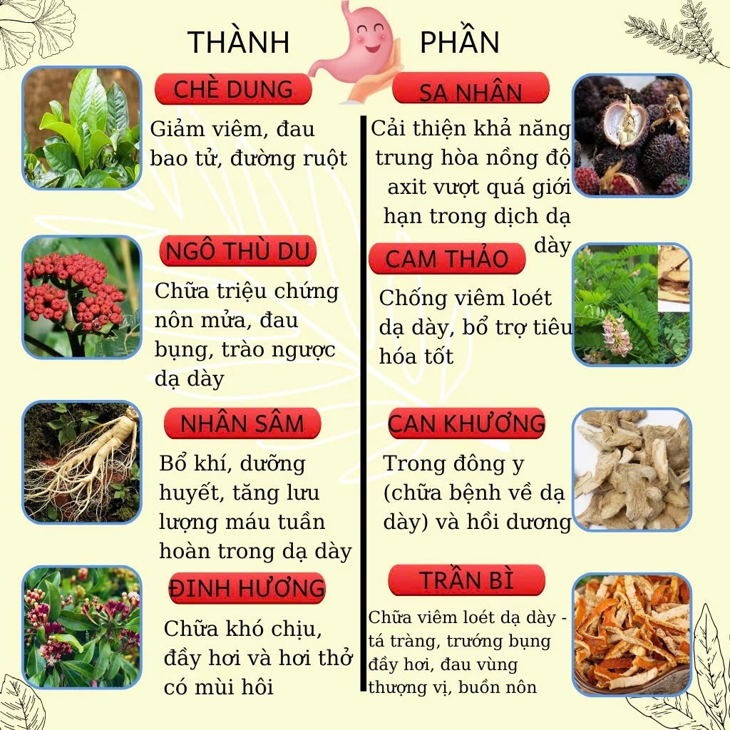 Trà dạ dày đại tràng Calen chống trào ngực, ợ hơi, ợ chua, ngừa vllêm lóe.ttt, vi khuẩn HP đau thượng vị bịch 30 túi lọc