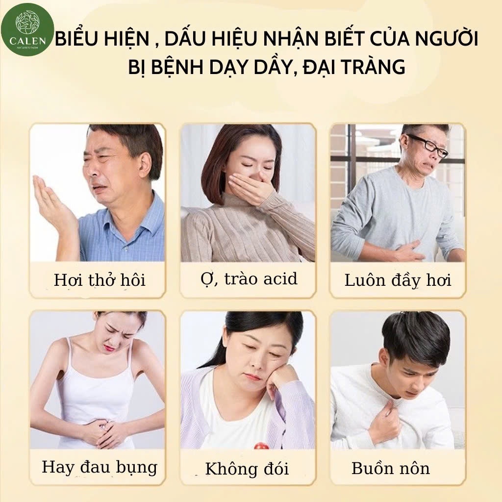 Trà dạ dày đại tràng Calen chống trào ngực, ợ hơi, ợ chua, ngừa vllêm lóe.ttt, vi khuẩn HP đau thượng vị bịch 30 túi lọc