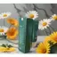 Sữa rửa mặt thuần chay DoVà 100ml chính hãng DOVA GROUP