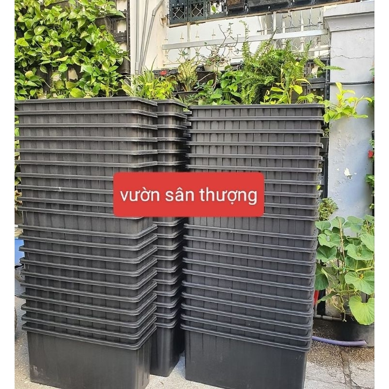 Chậu Trồng Cây Đáy Sâu 30cm x 26 x64 Màu Đen, Phù Hợp Trồng Cây Rễ Cọc, Cà Chua, Dưa,... Lót Đáy Thông Minh