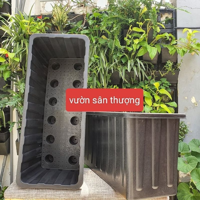 Chậu Trồng Cây Đáy Sâu 30cm x 26 x64 Màu Đen, Phù Hợp Trồng Cây Rễ Cọc, Cà Chua, Dưa,... Lót Đáy Thông Minh