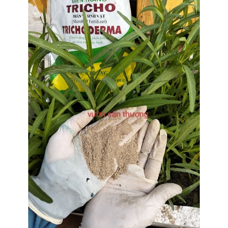 Phân V.i Si.nh vật Trichoderma Điền Trang 1000g