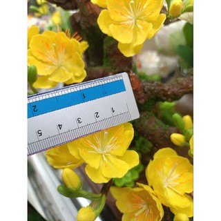 Hoa đất sét _Hoa mai lẻ nở đk 3_4cm ( giao Ngẫu nhiên),gắn lên cây bonsai