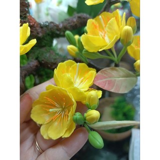 Hoa đất sét _Hoa mai lẻ nở đk 3_4cm ( giao Ngẫu nhiên),gắn lên cây bonsai