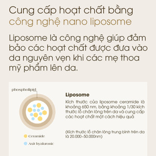 Kem Rạn Da Cho Bà Bầu ATONO2 Giúp Chống Rạn Da Trước Và Sau Sinh Giảm Mờ Thâm Sẹo 200ml