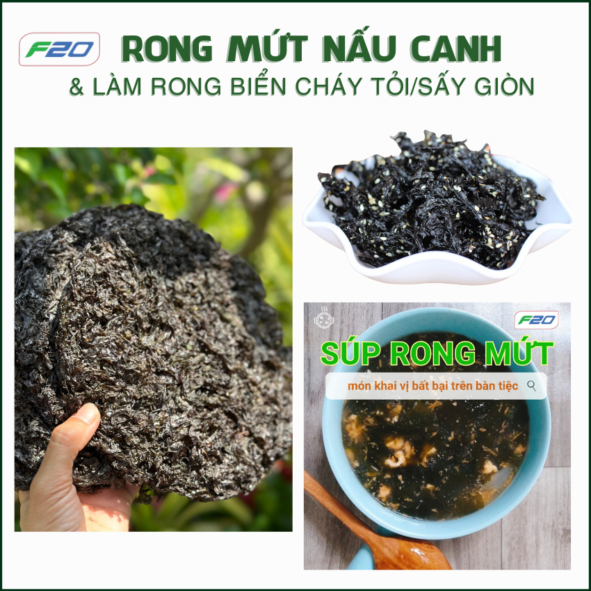Rong biển nha trang ( Rong mứt / Rong Wakame ) - Rong biển nấu canh ...