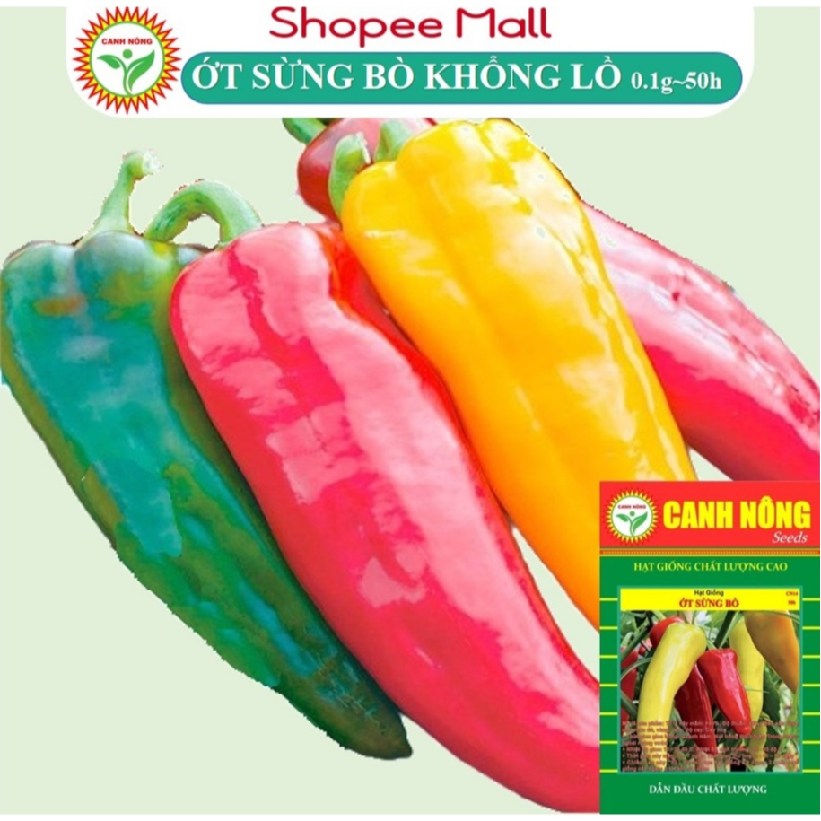 10 CÂY MẦM ỚT SỪNG BÒ F1 SIÊU TRÁI- CANH NÔNG - KVT