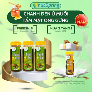 Chanh Đen Ủ Muối 5 Năm Cắt Miếng Mật Ong Gừng 600gam, tặng Chanh Đen Nguyên Trái