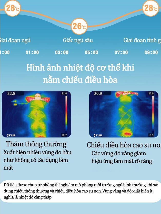 Ảnh Chiếu Điều Hòa Cao Su Non IQKAO Cho Bé Kèm Gối Mát Lưng, Thoáng Khí, Không Cần Bật Điều Hòa – Size 60x120cm 1