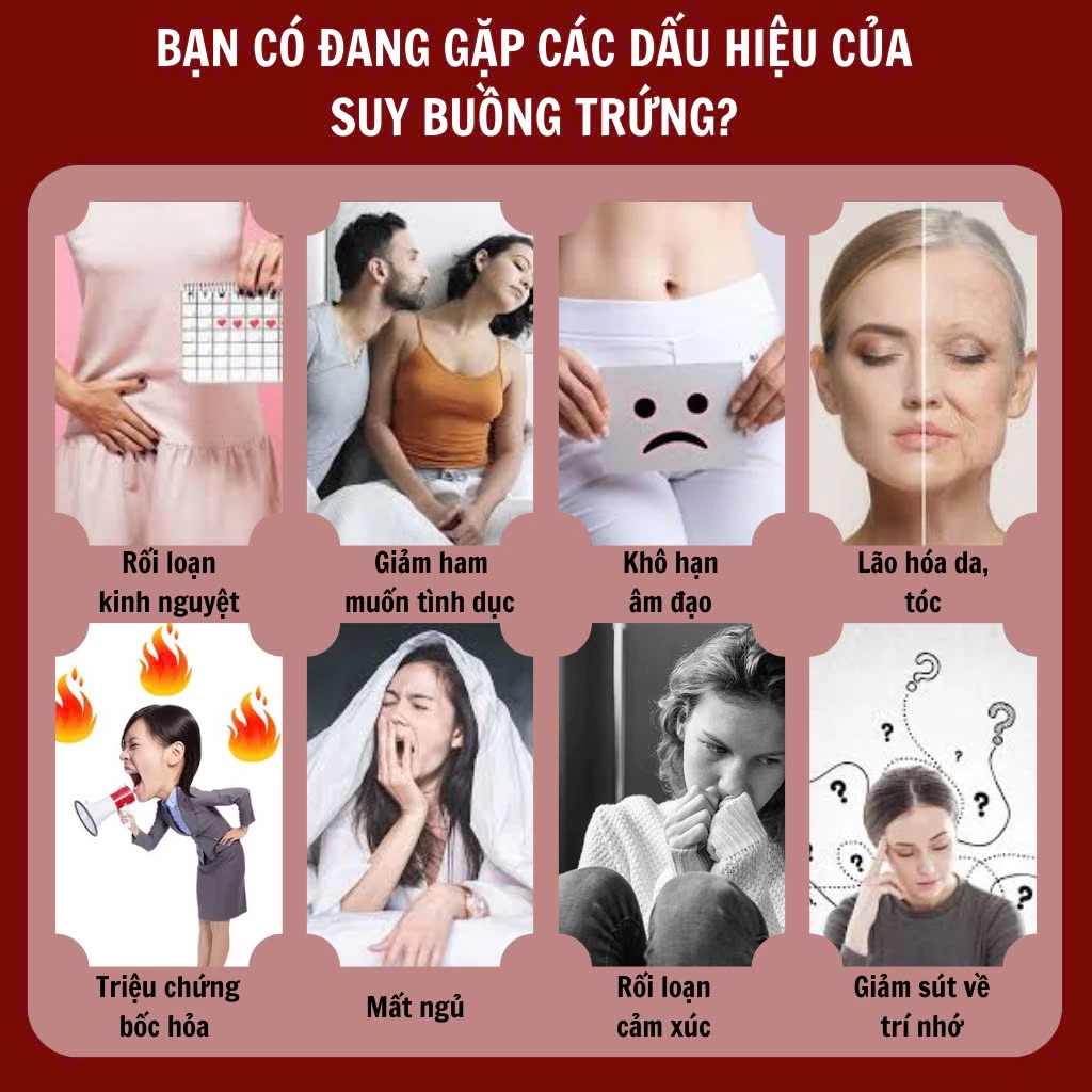 Trà túi lọc thảo dược bổ trứng Calen tăng số lượng và chất lượng trứng, hỗ trợ ấm tử cung, tăng khả năng thhh.ụ thai