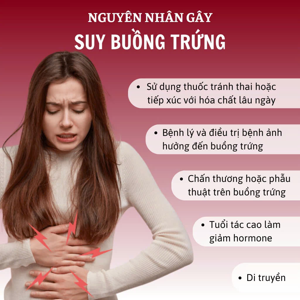Trà túi lọc thảo dược bổ trứng Calen tăng số lượng và chất lượng trứng, hỗ trợ ấm tử cung, tăng khả năng thhh.ụ thai