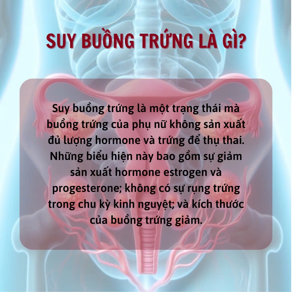 Trà túi lọc thảo dược bổ trứng Calen tăng số lượng và chất lượng trứng, hỗ trợ ấm tử cung, tăng khả năng thhh.ụ thai
