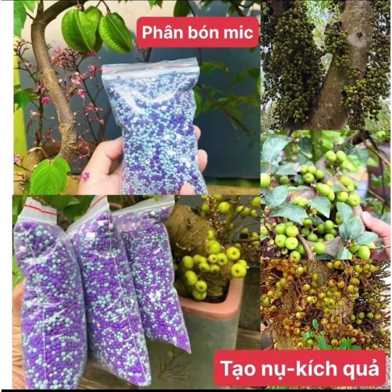 sản phẩm kich hoa cho cây cảnh