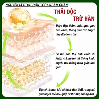 Ngâm chân thảo độc bài hàn Fengcha giúp đào thải độc tố và hàn khí tích tụ lâu ngày trong cơ thể bịch 15 túi lọc
