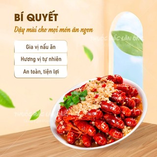 Bột tỏi ta nguyên chất 100g (Garlic powder, khử mùi tanh, ướp thịt cá thơm ngon)