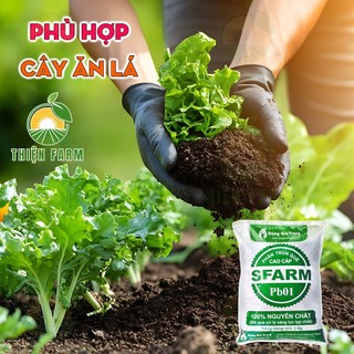 Phân Trùn Quế THIỆN FARM Bao 2kg, Phân Trùn Quế Sfarm, dinh dưỡng hữu cơ, bón rau quả, cây ăn trái