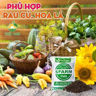 Phân Trùn Quế THIỆN FARM Bao 2kg, Phân Trùn Quế Sfarm, dinh dưỡng hữu cơ, bón rau quả, cây ăn trái