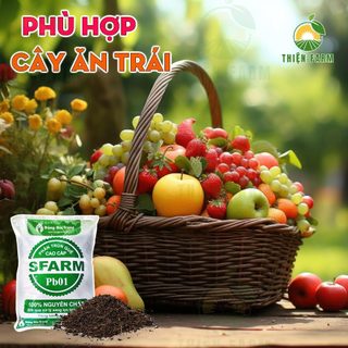 Phân Trùn Quế THIỆN FARM Bao 2kg, Phân Trùn Quế Sfarm, dinh dưỡng hữu cơ, bón rau quả, cây ăn trái