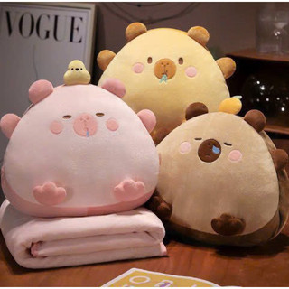 Miniso🔥Gấu chăn mền văn phòng, gấu mền cho bé đi học🔥Gấu bông nhập khẩu