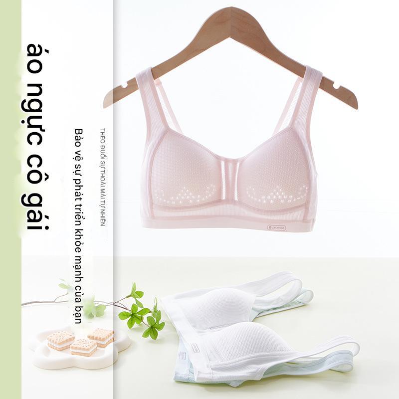 Áo lót bé gái đệm cố định thông hơi cao cấp từ 39-70kg