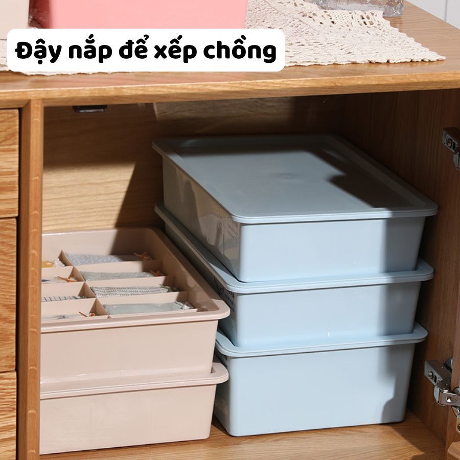 Hộp Đựng Đồ Lót, Áo Lót Có Nắp Chia Ngăn Nhiều Màu Enoda Home P008