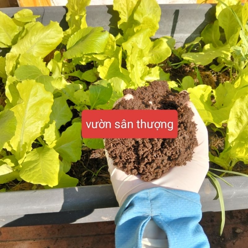 Phân Trùn Quế Duy Trì Ẩm Cung Cấp Dinh Dưỡng, V.i Si.nh Có Lợi Cân Nặng tự chọn