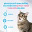 Hạt Cho Mèo MrVet/Mr.vet / Sample , túi tiện lợi , túi du lịch MRVET