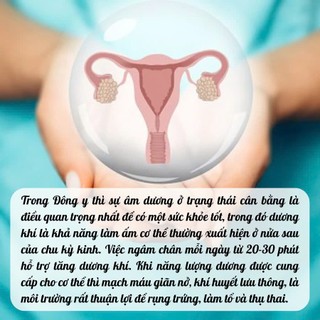 Ngâm chân ấm tử cung Fengcha giúp bài trừ hàn khí trong tử cung, chống lạnh tử cung, giảm đau bụng kinh bịch 15 túi lọc