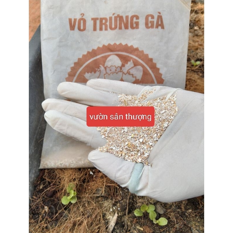 Gói 1kg Vỏ Trứng Gà Sfarm Đã Xử Lý size 2_3mm, Cung cấp Can.xi cho Cây, Cân Bằng Ph Đất