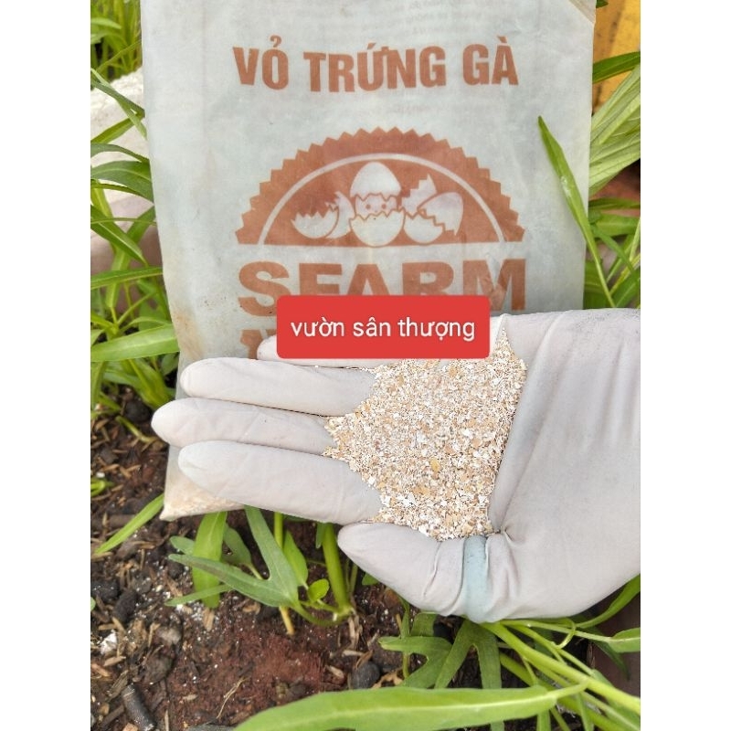 Gói 1kg Vỏ Trứng Gà Sfarm Đã Xử Lý size 2_3mm, Cung cấp Can.xi cho Cây, Cân Bằng Ph Đất