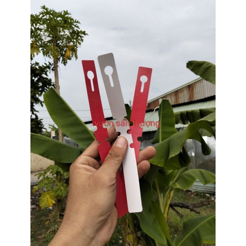 Thẻ Ghi Tên Cây Cảnh Màu, Rau, Củ, Quả, Hoa Hồng Ngẫu Nhiên Tái Sử Dụng Nhiều Lần